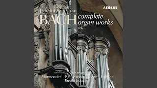 Toccata in D Minor, BWV 913: I. Toccata