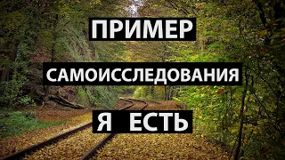 Пример самоисследования я есть (Лакшми, НикОшо)