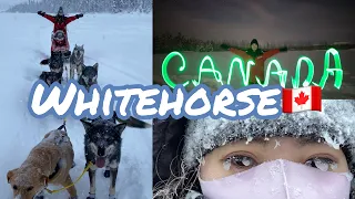 【Vlog】念願のオーロラを見にWhitehorseへ🇨🇦費用も公開