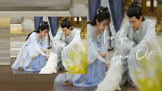 Nhạc phim Khanh Khanh Nhật Thường《卿卿日常 OST》Drama New life begins