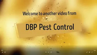 DBP Pest Control  - Rounding off April with a ratting session.