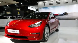 Tesla's Q1 increase in deliveries a 'paradigm changer' for electric vehicles: Wedbush's Ives