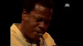 Wayne Shorter Brian Blade Danilo Perez John Pattitucci & Orchestra   Vienne 2003