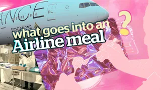 What goes into a plane meal? Singapore Airlines business class Book the Cook