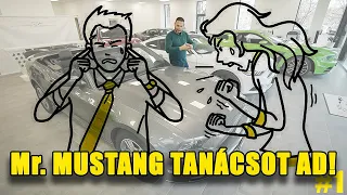 Mr. Mustang tanácsot ad #1 😜(Hogyan vegyük rá az asszonyt, hogy Mustangot vehessünk)