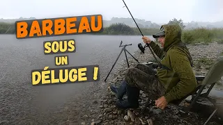 Incredible Barbel Reaction During a Deluge!