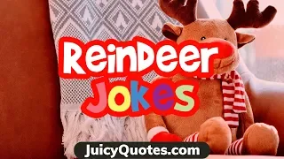 Funny Reindeer Jokes and Puns - Great to share for Christmas