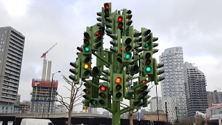 The Traffic Light Tree In London