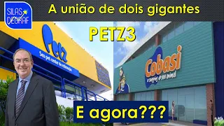 PETZ3 - PET CENTER S/A E COBASI. ANÁLISE DAS EMPRESAS. PROF. SILAS DEGRAF