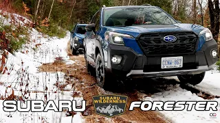 Subaru Forester Wilderness: ready to get dirty!