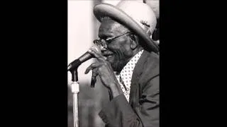 Furry Lewis - See That My Grave Is kept Clean