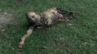 Saison 1 • The Walking Dead   Bande annonce VF