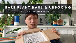 Rare Plant Haul & Unboxing from Facebook | vlog 12