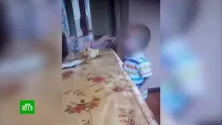 Избиение приемного ребенка пьяной мачехой за просьбу накормить на Камчатке