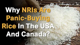 Why NRIs Are Panic-Buying Rice In The USA And Canada?