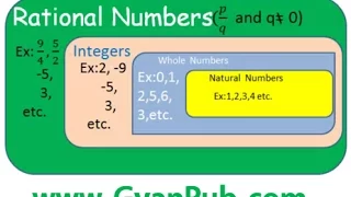 NCERT Solutions for Class 8 Maths Chapter 1 Rational Numbers Ex 1 1 Q 2 iii