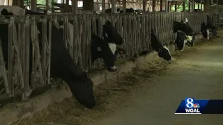 Oregon Dairy hosts Family Farm Days