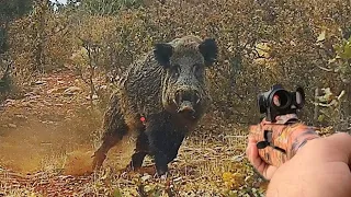 Mükemmel Atışlar ile Aksiyon Dolu DEV  Yaban Domuzu Avı- BEST WILD BOAR HUNTING