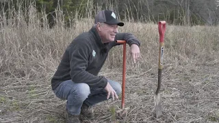 Tree Planting Tutorial