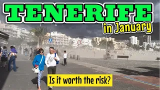 Tenerife in January, is it worth the risk?