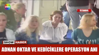 Adnan Oktar ve kediciklere operasyon anı