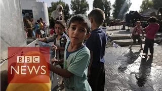 'We're hosting over 220,000 internally displaced people in Gaza' UNRWA - BBC News
