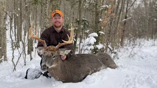 Trigger tracks an Adirondack buck