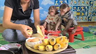 Mimi Kuku waits together for Mom to make delicious Egg SandWich (P1)