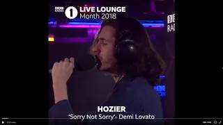 Hozier - Sorry Not Sorry (covered Demi Lovato) (Live)