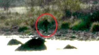 SHOCKING proof that BIGFOOT EXISTS!!
