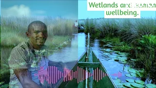 Wetlands - Man's Backbone