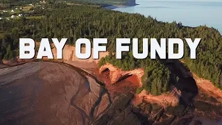 Bay of Fundy | High Tides and Adventure | Canada Travel Vlog  | The Planet D