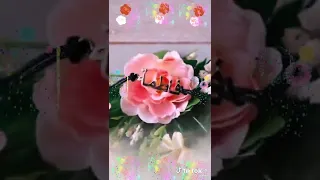 زهراء زهراء