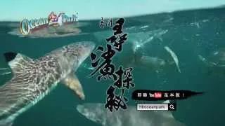 鯊魚館「尋鯊探秘」30秒電視廣告