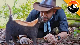 Playtime with a SKUNK!