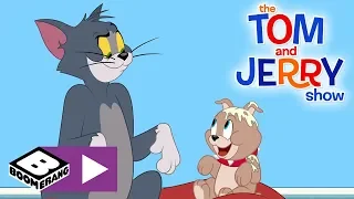 The Tom and Jerry Show | Tom The Dog Carer | Boomerang UK 🇬🇧