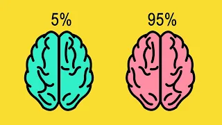 Как прокачать мозг? Как стать умнее? Как улучшить память?