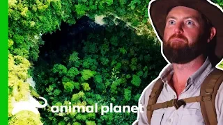 Will Forrest Find An Asian Unicorn In The World's Largest Cave? | Extinct Or Alive?