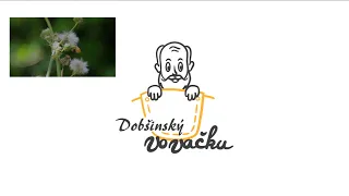 Pavol Dobšinský: Jelenček