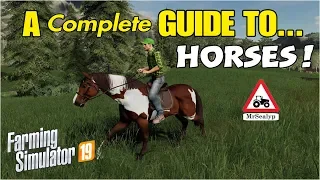 A complete Guide to... HORSES! Farming Simulator 19, PS4. Tutorial.