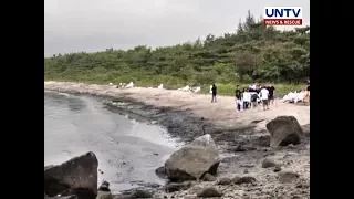 Las Piñas-Parañaque Wetland Park, gagawin nang tourist spot sa mga susunod na taon