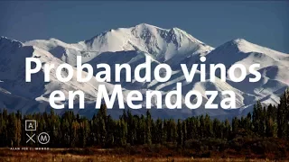 Probando vinos en Mendoza | Argentina #10 Alan por el mundo