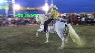 EZEQUIEL PEÑA - MANUEL JUAREZ - VIDEO "TARASCO"