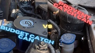 Provent catch can VS budget catch can