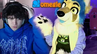 OMEGLE but the video doesn't end until I FIND A FURRY!