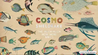 Wriggle - Cosmo Sheldrake - 8D Audio