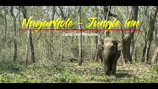 Nagarhole Jungle Inn - A Review
