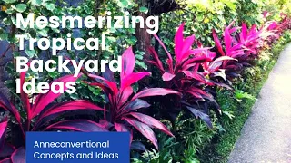 Mesmerizing Tropical Backyard Landscaping Ideas