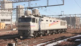 JR東日本の機関車が出入りする隅田川駅　EF510 EF81