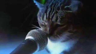 Meow Mix Song [10Hours]